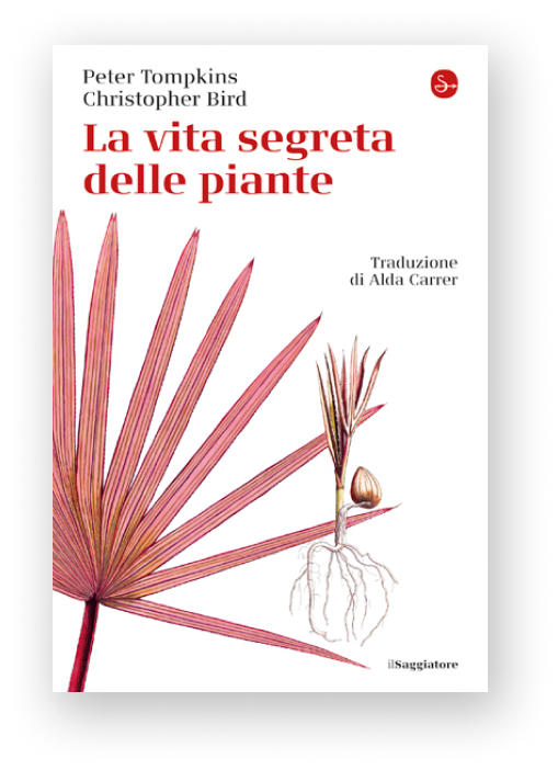 La vita segreta delle piante copertina